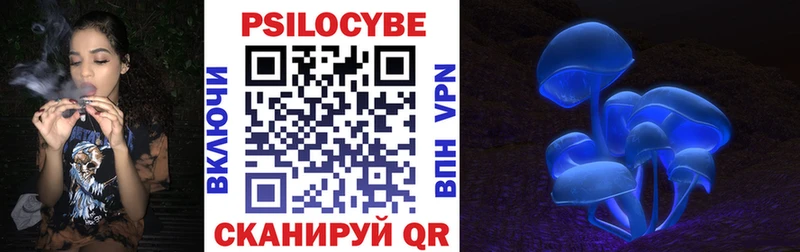 купить закладку  Лермонтов  Галлюциногенные грибы прущие грибы 