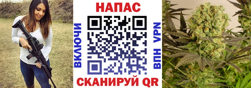 Шишки марихуана марихуана  как найти закладки  Лермонтов 